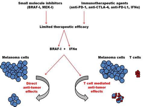 melanoma braf inhibitors
